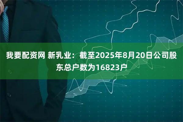 我要配资网 新乳业：截至2025年8月20日公司股东总户数为16823户