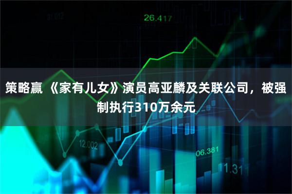 策略赢 《家有儿女》演员高亚麟及关联公司,被强制执行310万余元