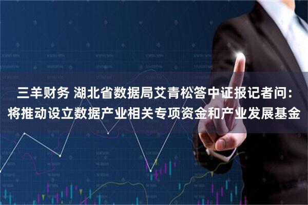 三羊财务 湖北省数据局艾青松答中证报记者问：将推动设立数据产业相关专项资金和产业发展基金