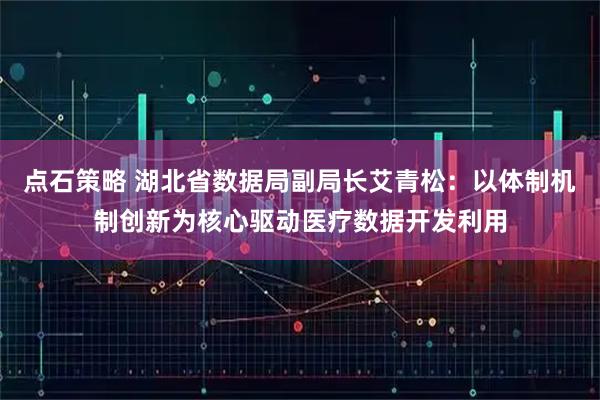 点石策略 湖北省数据局副局长艾青松:以体制机制创新为核心驱动医疗数据开发利用
