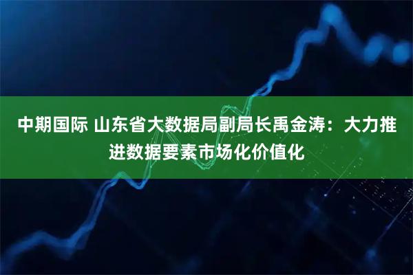 中期国际 山东省大数据局副局长禹金涛:大力推进数据要素市场化价值化