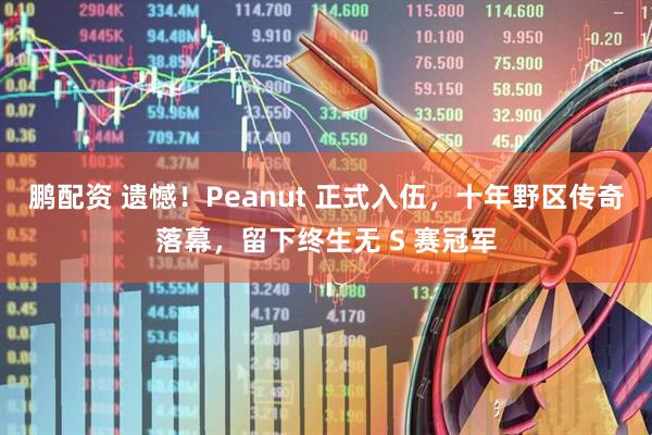 鹏配资 遗憾！Peanut 正式入伍，十年野区传奇落幕，留下终生无 S 赛冠军